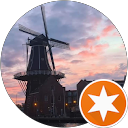 Lion profile picture